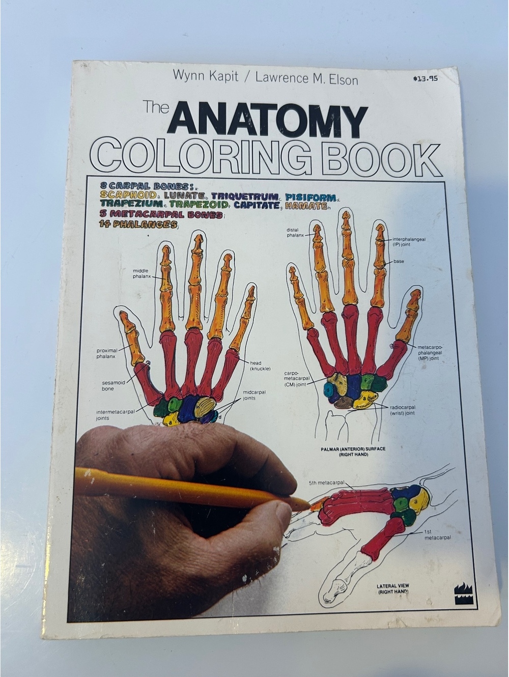 The Anatomy Coloring Book